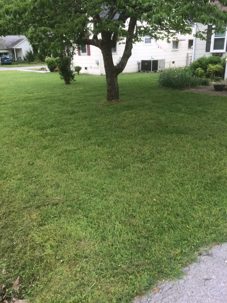 Trusted landscaping services experts serving Chattanooga, TN - Midtown Lawn Care