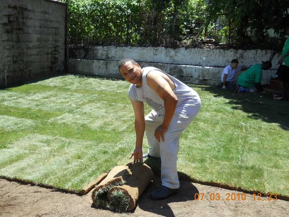 Custom yard cleanup service in Bronx, NY by Midtown Metro Landscape & Design