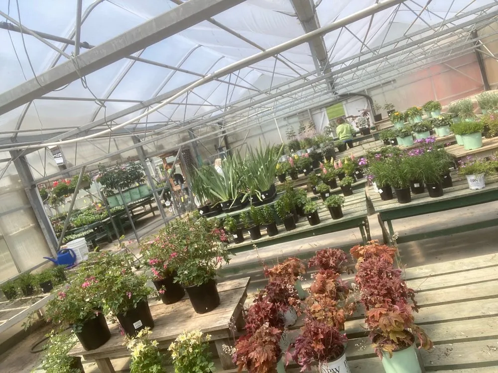 Professional outdoor landscaping for beautiful yards across Pittston, PA - Midway Garden Center & Landscaping