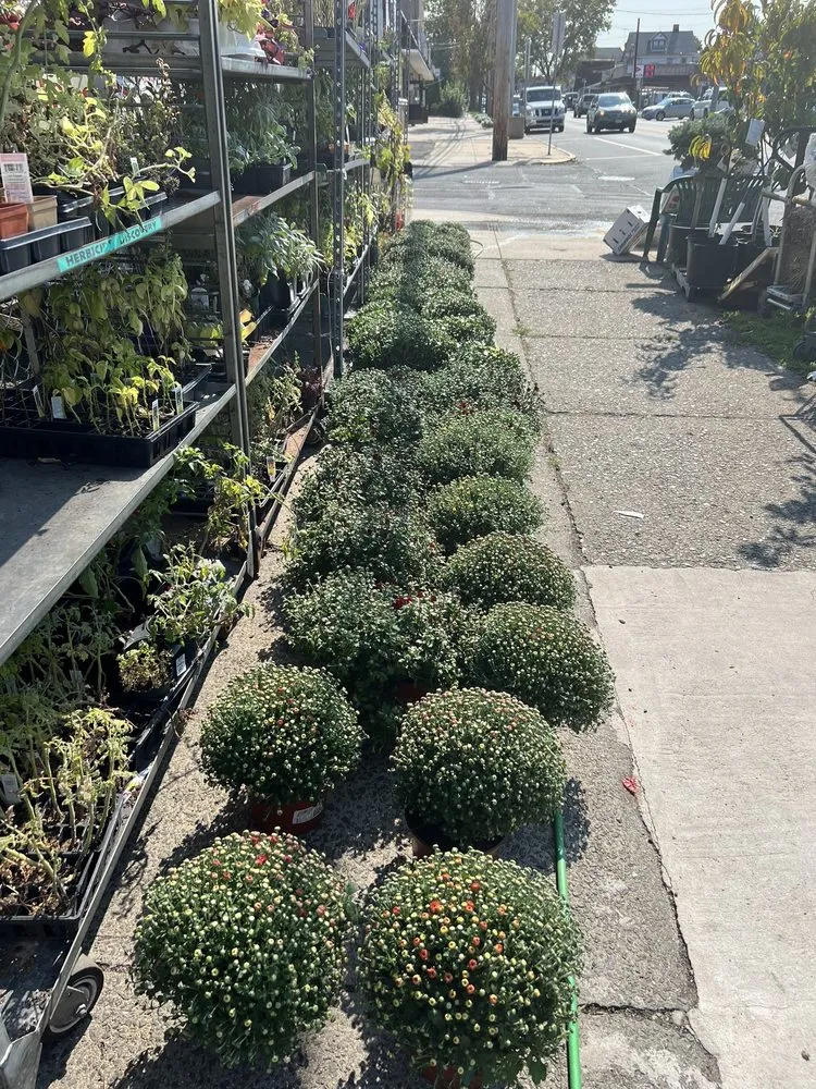 Local lawn care service for year-round maintenance across Pittston, PA - Midway Garden Center & Landscaping