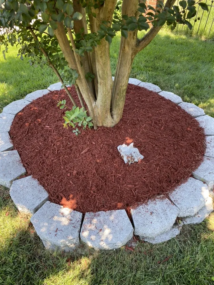 Trusted lawn care service experts serving Springfield, VA - Midway Landscaping and Powerwash