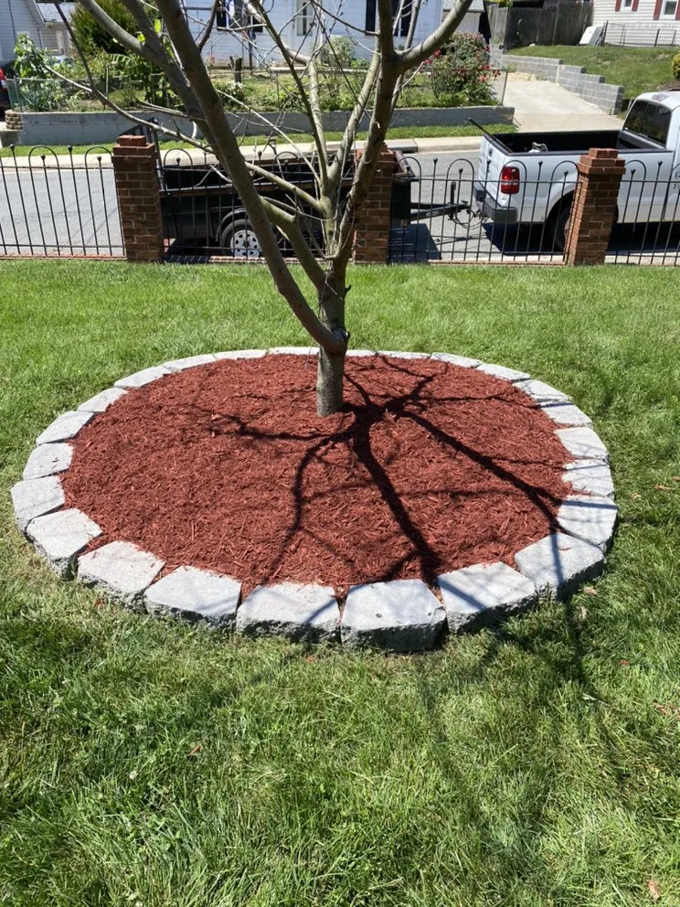 Affordable garden landscaping in Springfield, VA by Midway Landscaping and Powerwash