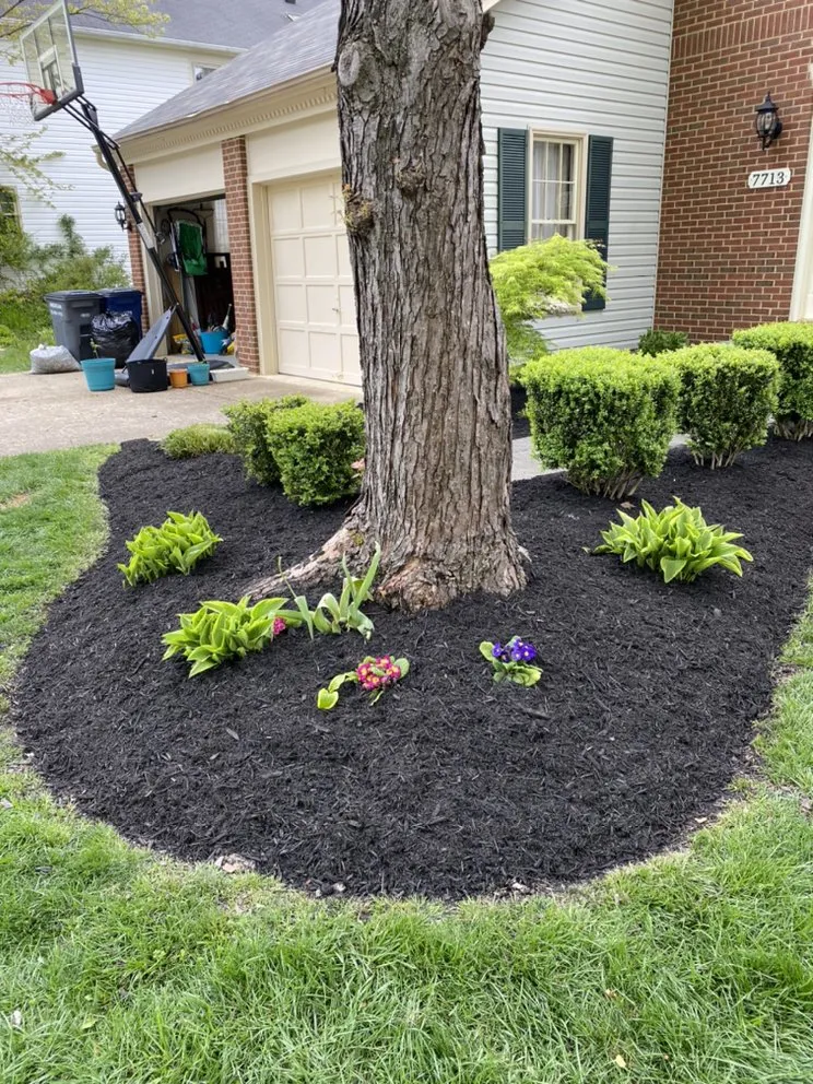 Trusted landscaping services in Springfield, VA - Midway Landscaping and Powerwash