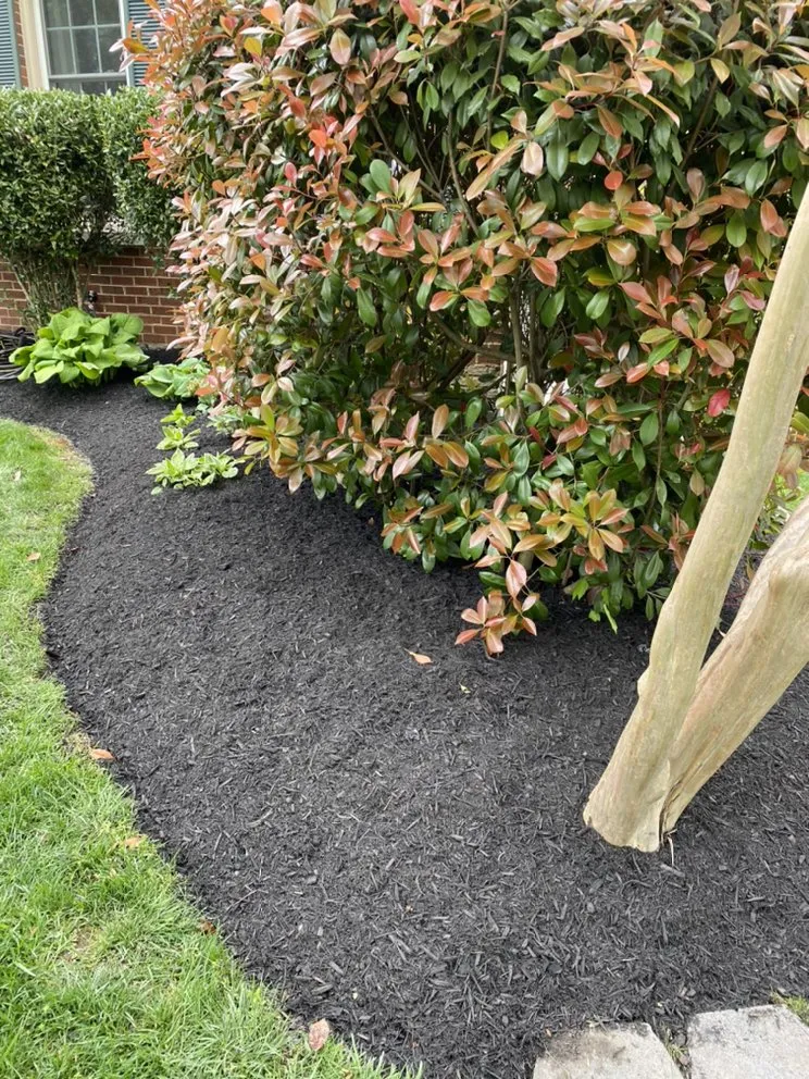 Professional landscape installation experts serving Springfield, VA - Midway Landscaping and Powerwash