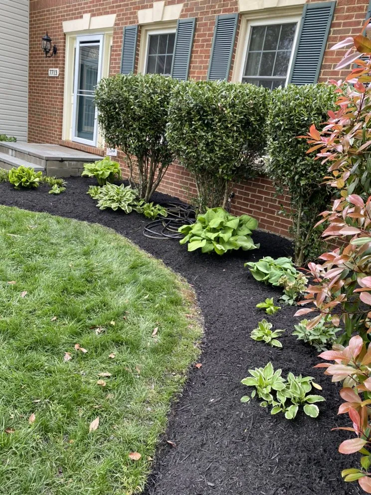 Professional yard maintenance for year-round maintenance in Springfield, VA by Midway Landscaping and Powerwash
