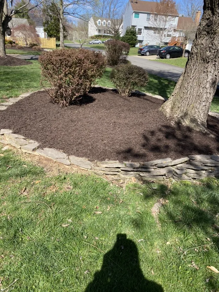 Affordable residential landscaping in Springfield, VA by Midway Landscaping and Powerwash