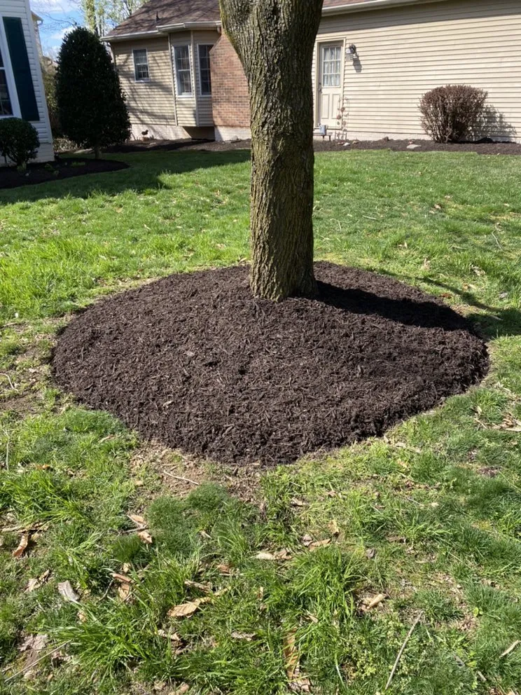 Reliable outdoor landscaping with custom design across Springfield, VA - Midway Landscaping and Powerwash