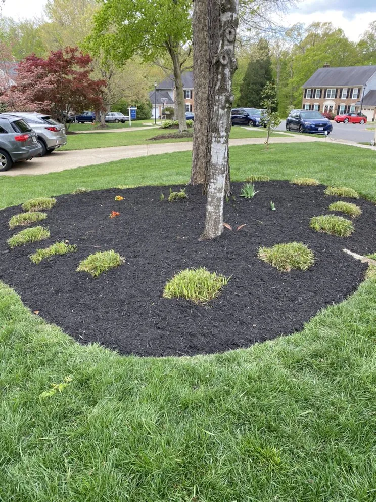 Expert landscape installation in Springfield, VA by Midway Landscaping and Powerwash