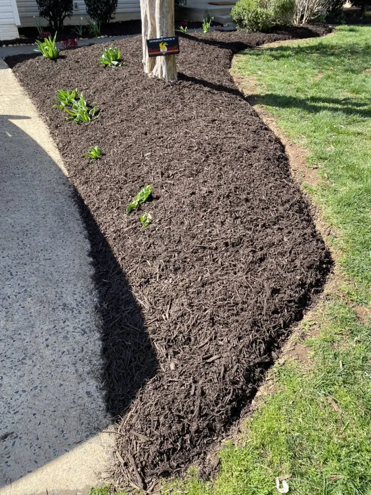 Custom landscape design experts serving Springfield, VA - Midway Landscaping and Powerwash