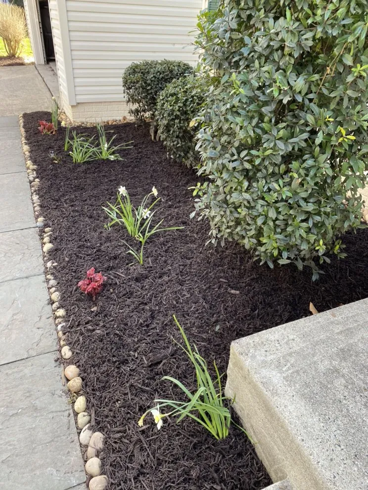 Expert lawn care service experts serving Springfield, VA - Midway Landscaping and Powerwash