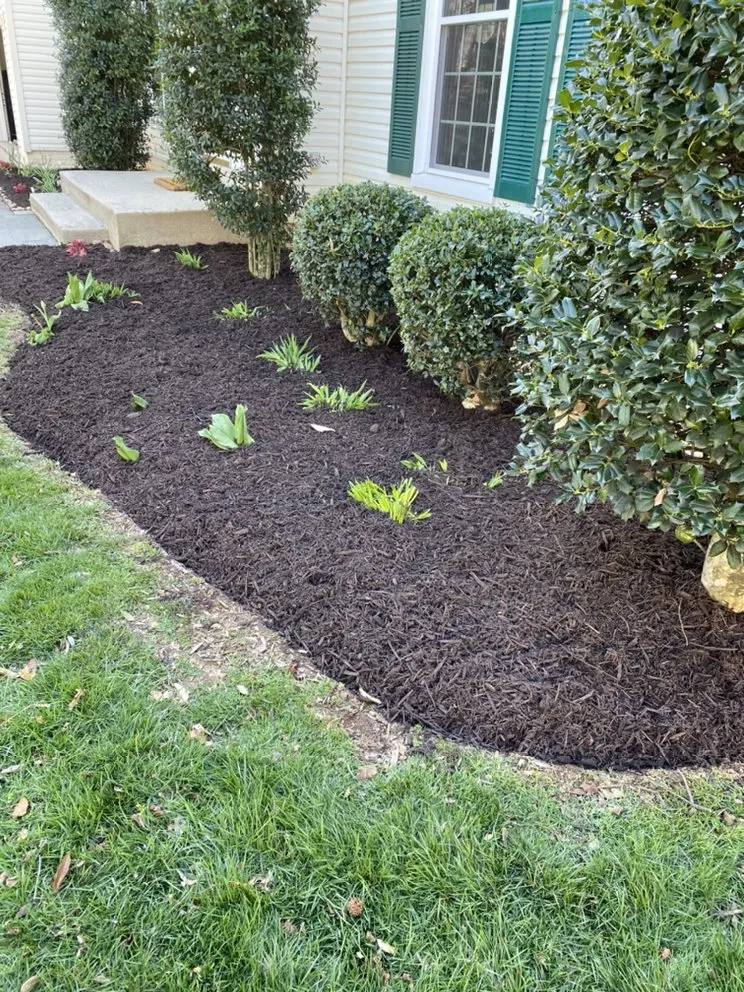 Professional landscaping services near you in Springfield, VA by Midway Landscaping and Powerwash