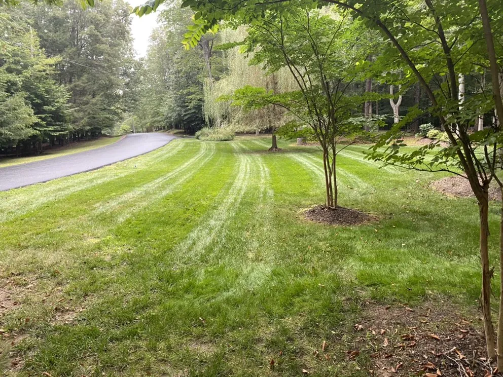 Local garden landscaping for homes in Springfield, VA by Midway Landscaping and Powerwash