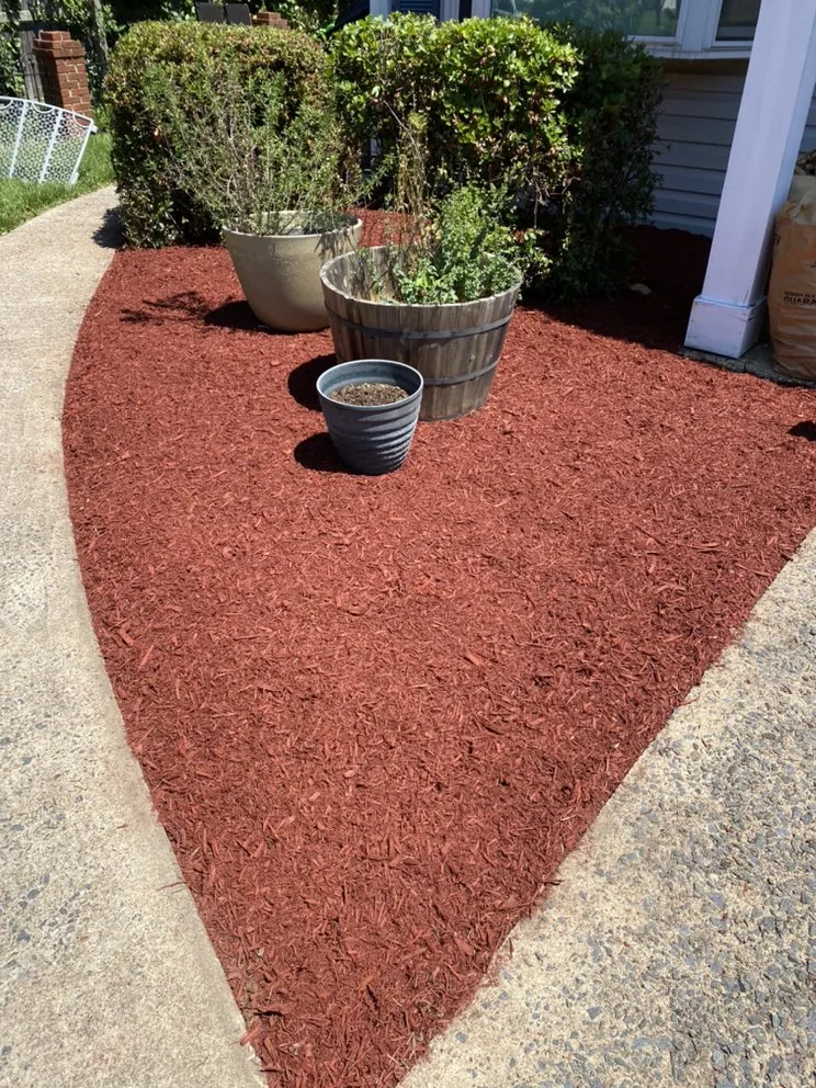 Affordable outdoor landscaping for year-round maintenance in Springfield, VA by Midway Landscaping and Powerwash