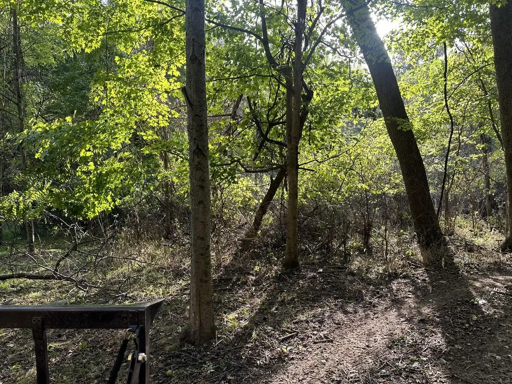 Affordable yard maintenance experts serving Lancaster, OH - Midwest Clear Cut