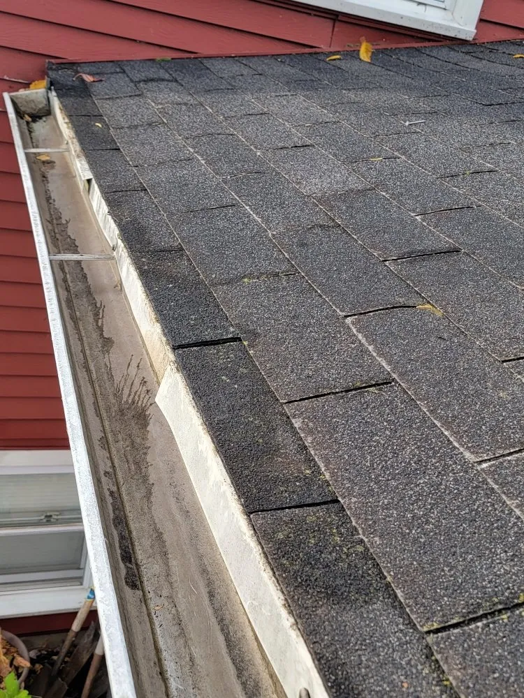 Expert yard cleanup service in Woodstock, IL - MidWest Exterior Services