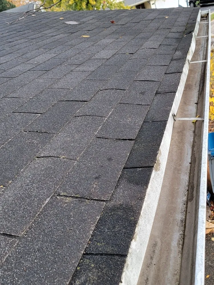 Top-rated yard cleanup service for residential properties in Woodstock, IL by MidWest Exterior Services