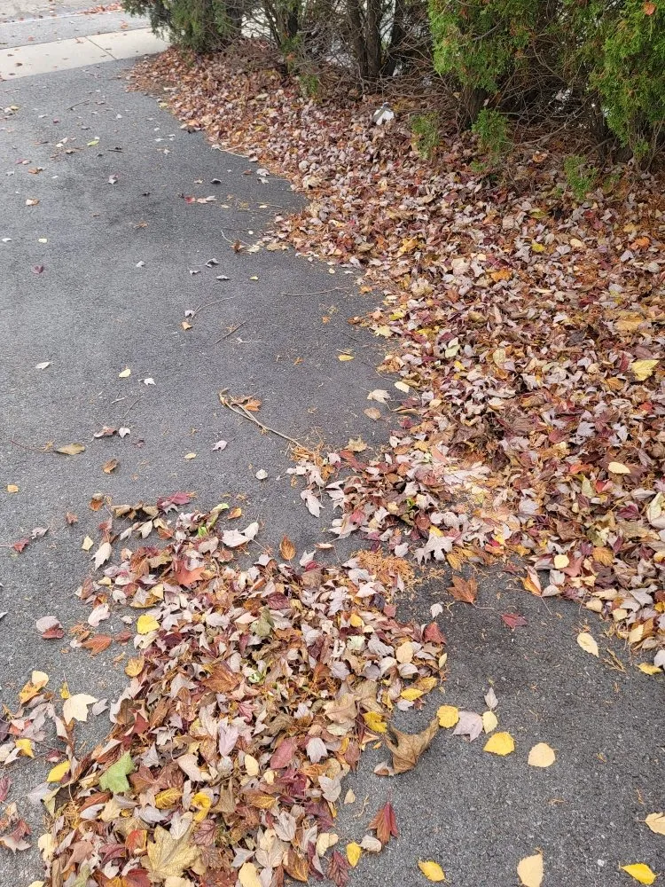 Affordable yard maintenance near you across Woodstock, IL - MidWest Exterior Services