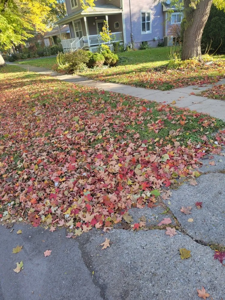 Top-rated yard maintenance experts serving Woodstock, IL - MidWest Exterior Services