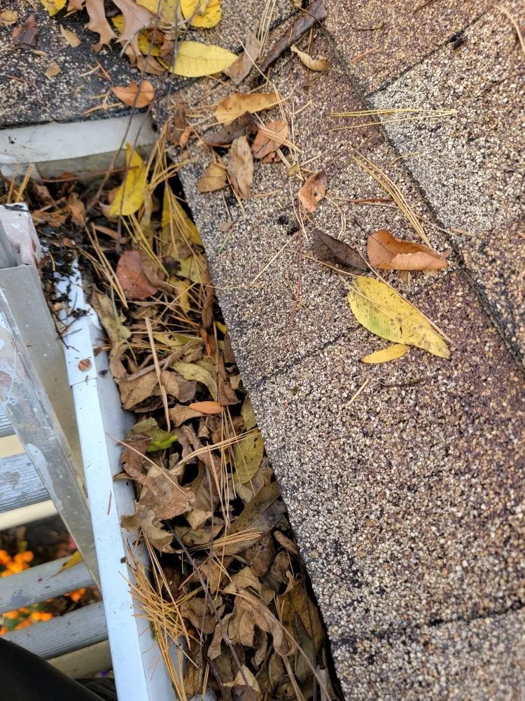 Trusted lawn care service in Woodstock, IL by MidWest Exterior Services