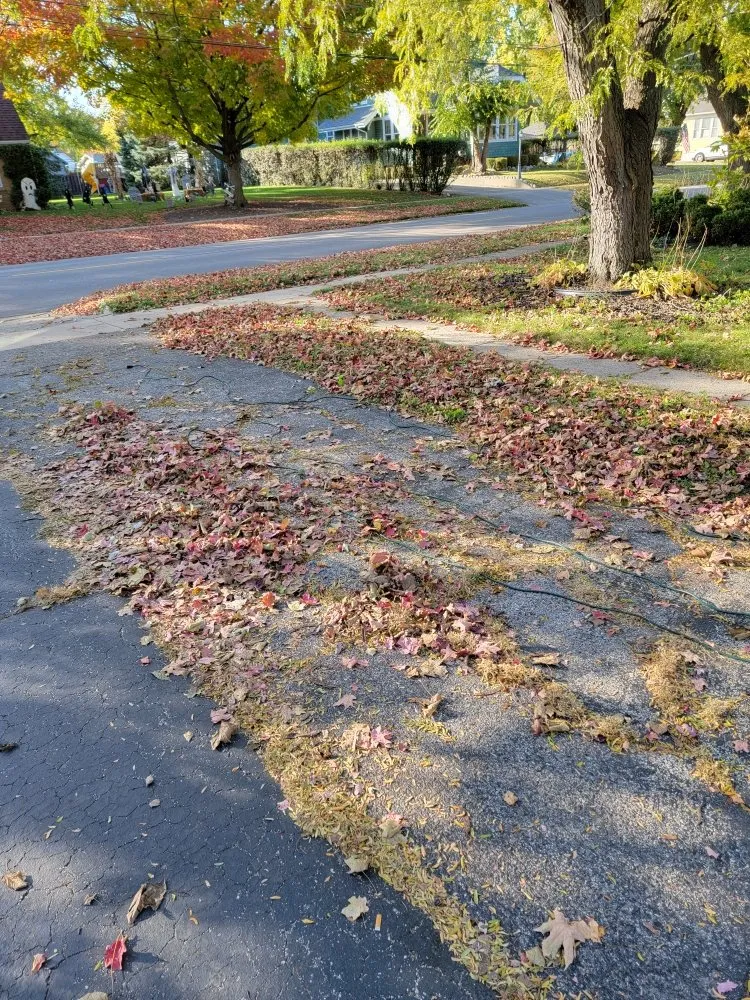 Expert lawn care service experts serving Woodstock, IL - MidWest Exterior Services