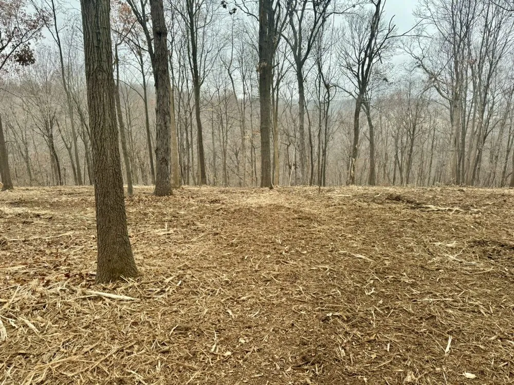 Local yard cleanup service for year-round maintenance in Defiance, MO by Midwest Forestry Mulching & Land Clearing