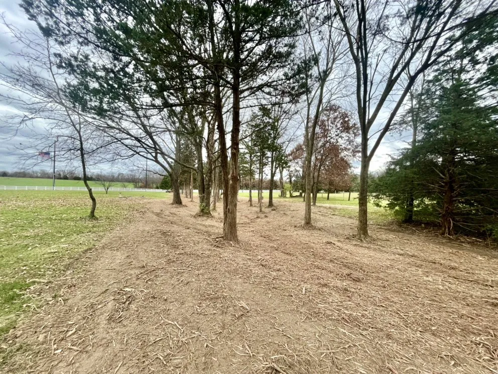 Reliable landscape design for residential properties across Defiance, MO - Midwest Forestry Mulching & Land Clearing