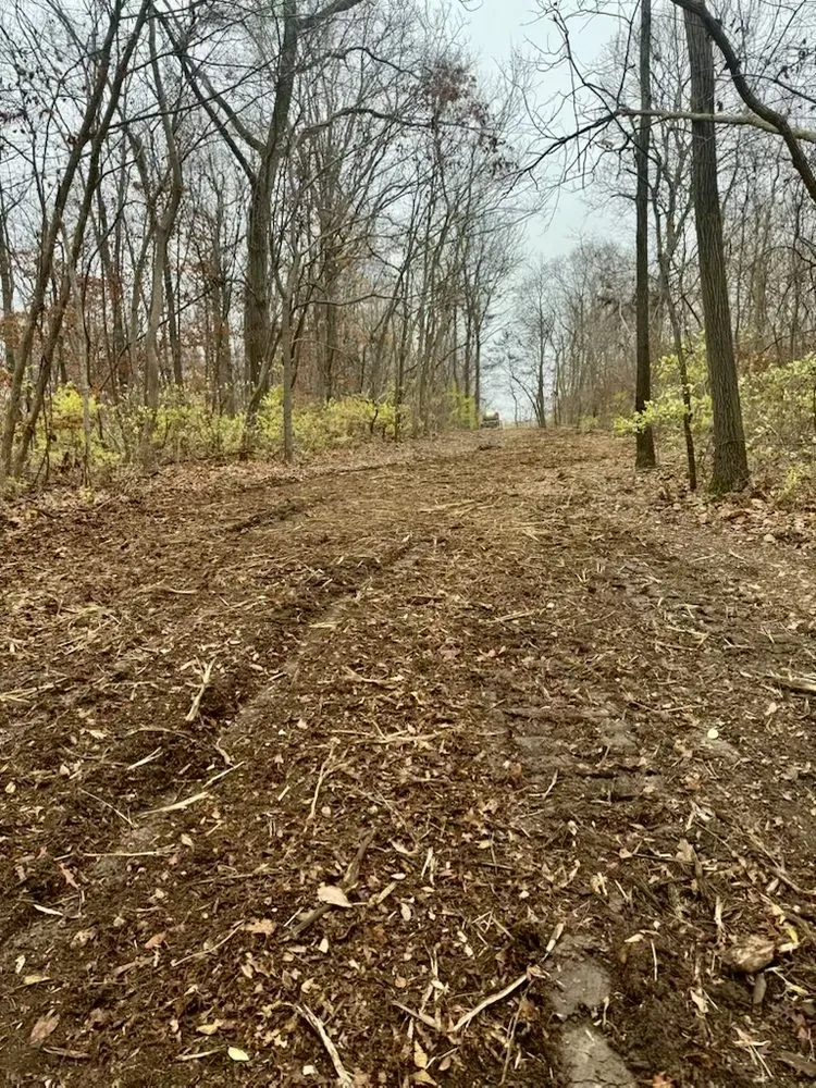 Custom residential landscaping experts serving Defiance, MO - Midwest Forestry Mulching & Land Clearing