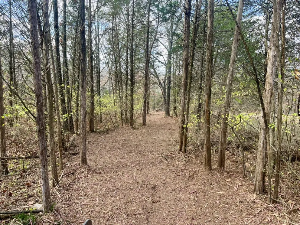 Reliable yard maintenance for outdoor upgrades across Defiance, MO - Midwest Forestry Mulching & Land Clearing