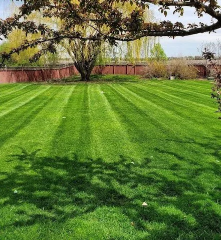 Professional garden landscaping in Shorewood, IL by Midwest Ground Effects