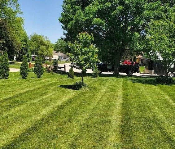 Local garden landscaping experts serving Shorewood, IL - Midwest Ground Effects