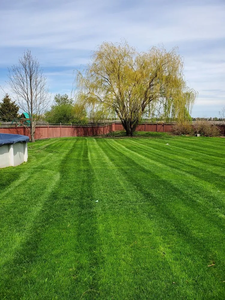 Reliable yard cleanup service for homes across Shorewood, IL - Midwest Ground Effects