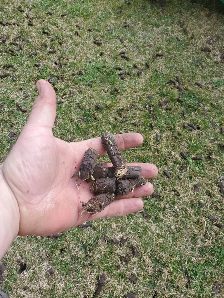 Local landscaping services with custom design across Shorewood, IL - Midwest Ground Effects