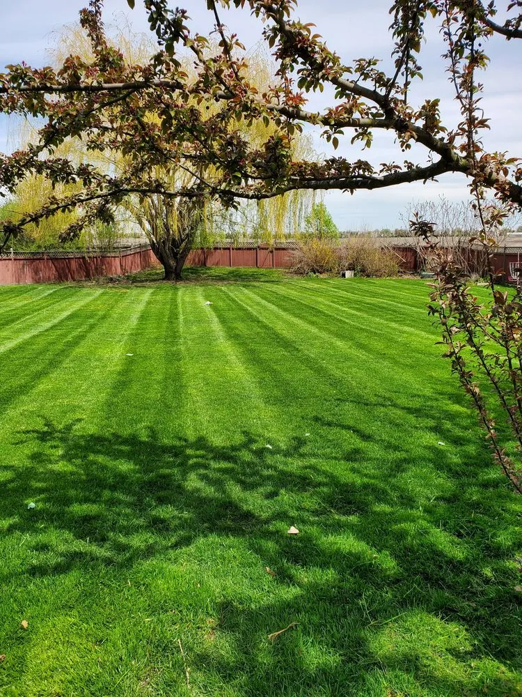 Custom landscaping services in Shorewood, IL by Midwest Ground Effects