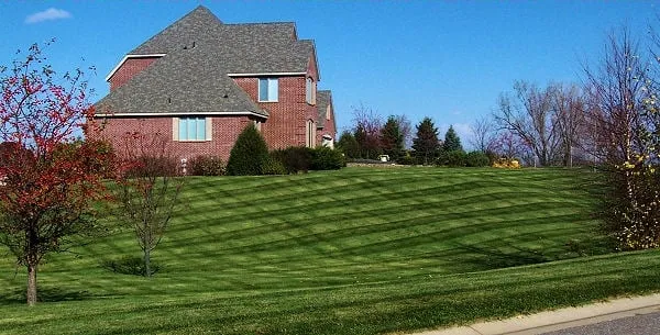 Trusted landscape installation for year-round maintenance in Shorewood, IL by Midwest Ground Effects