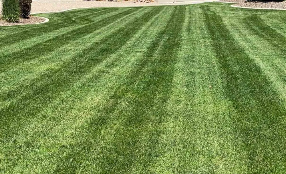 Local residential landscaping for year-round maintenance in Richmond, MN by Midwest Home & Lawn