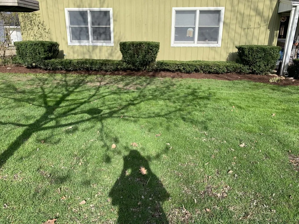 Local lawn care service near you across Downers Grove, IL - Midwest Landscaping