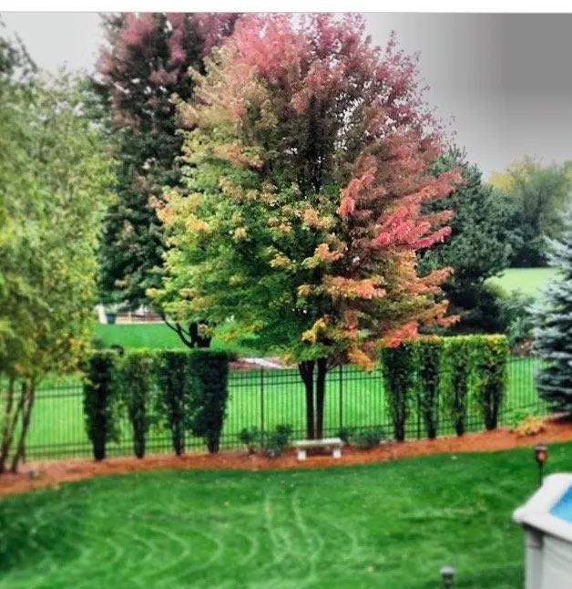 Local landscaping services in Downers Grove, IL by Midwest Landscaping