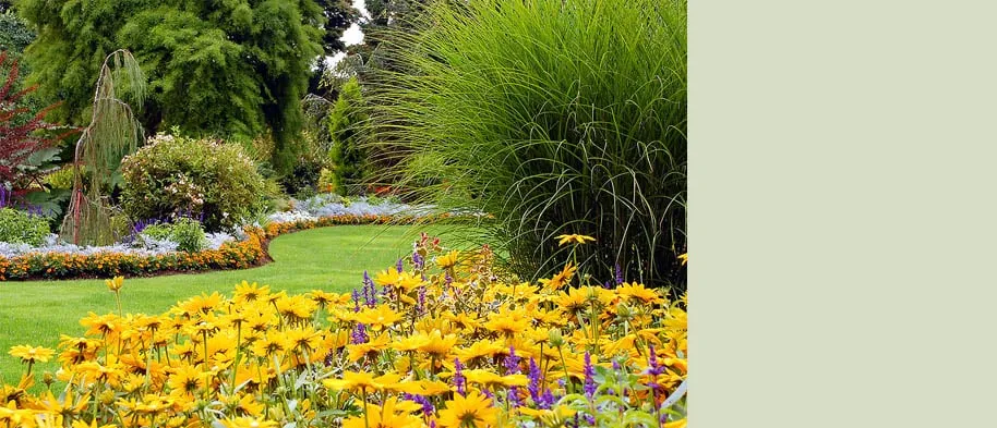 Professional landscape installation for year-round maintenance in Downers Grove, IL by Midwest Landscaping