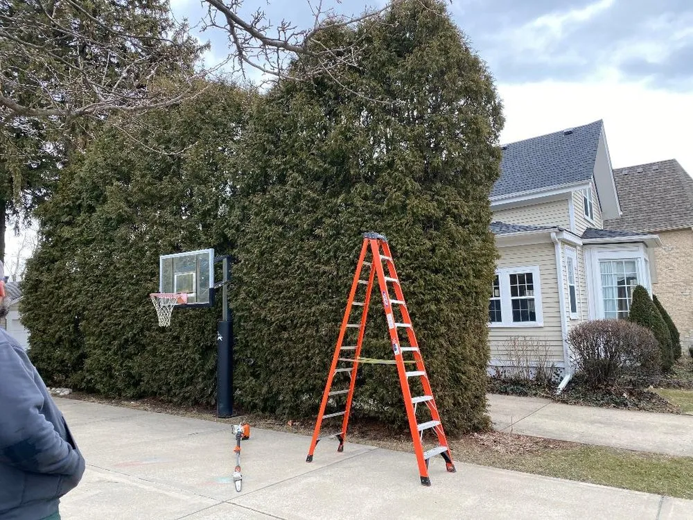 Expert landscape design in Downers Grove, IL by Midwest Landscaping