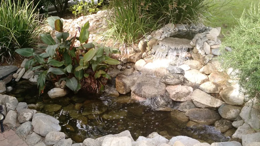 Custom yard maintenance experts serving Los Angeles, CA - Midwest Landscaping