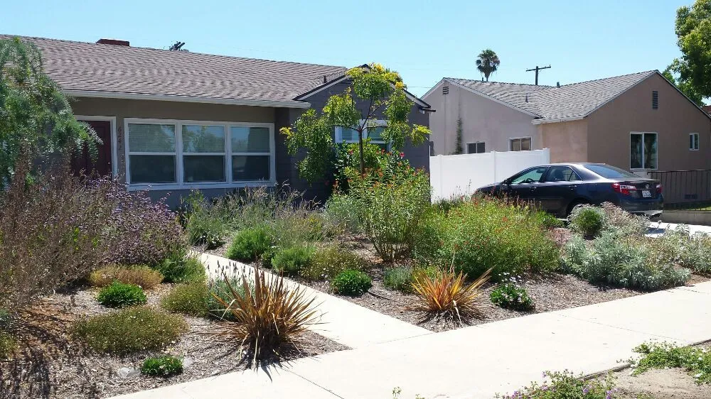Reliable residential landscaping experts serving Los Angeles, CA - Midwest Landscaping