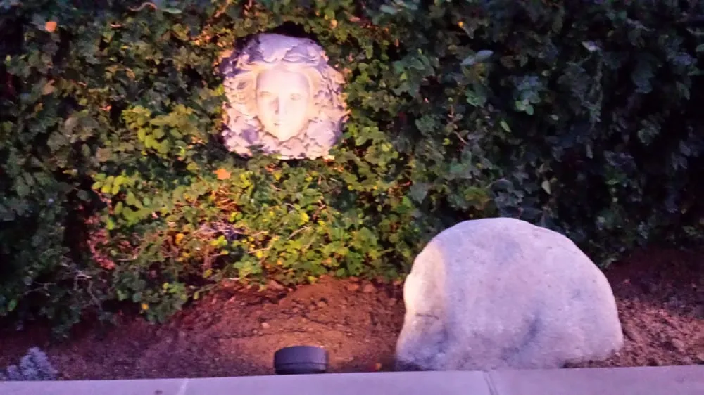 Trusted yard maintenance experts serving Los Angeles, CA - Midwest Landscaping