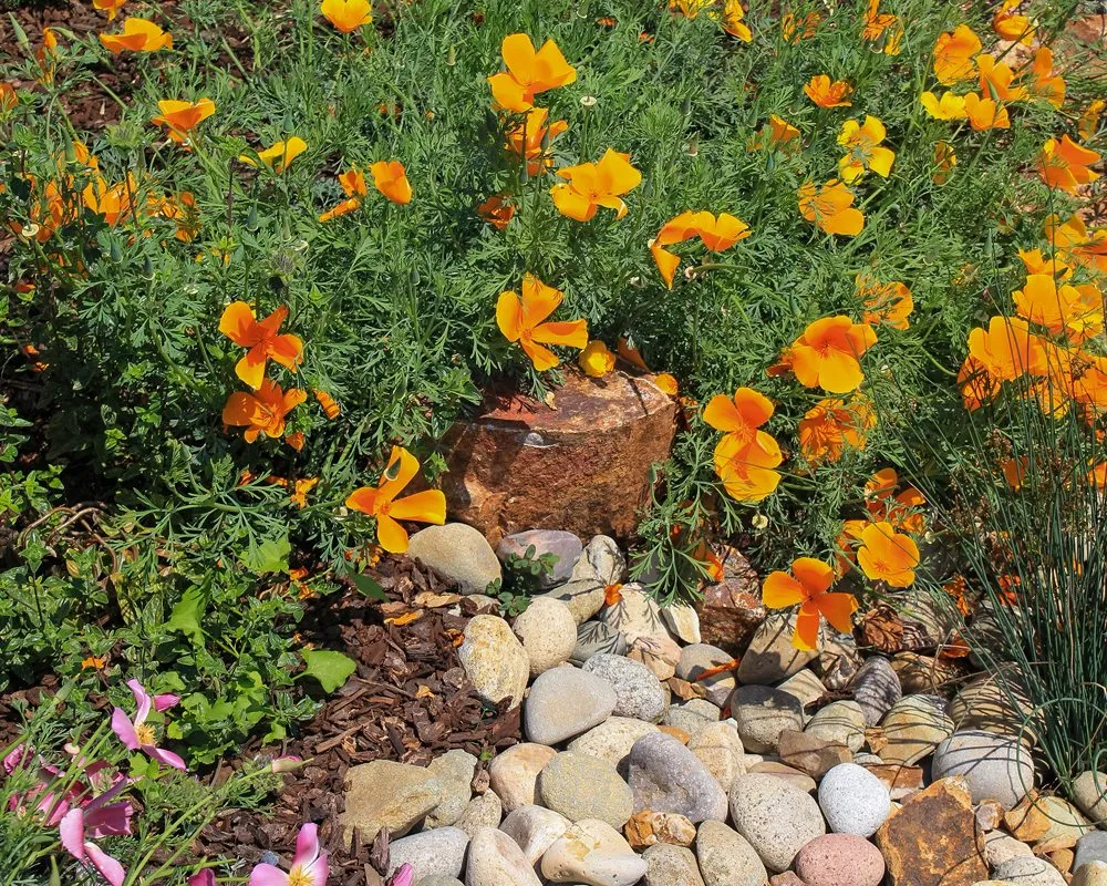 Professional landscaping services for homes across Los Angeles, CA - Midwest Landscaping