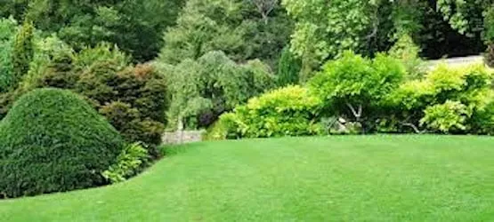 Trusted lawn mowing service for outdoor upgrades in Hutchinson, KS by Midwest Lawn & Sprinkler