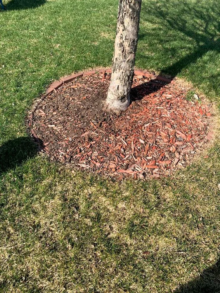 Local lawn care service for residential properties in New Richmond, WI by Midwest Lawn Pro