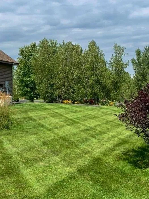 Top-rated yard maintenance in New Richmond, WI by Midwest Lawn Pro
