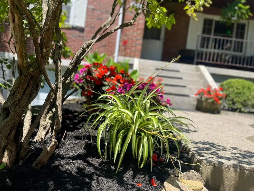 Reliable landscaping services in Cincinnati, OH - Midwest Mowing