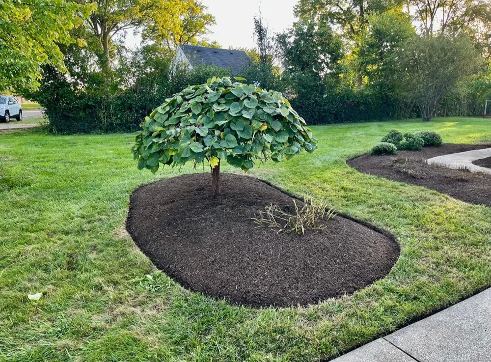 Trusted lawn mowing service for beautiful yards across Cincinnati, OH - Midwest Mowing