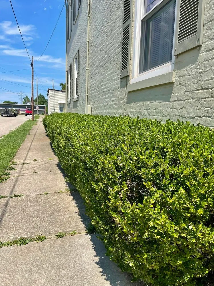 Top-rated landscape design in Cincinnati, OH - Midwest Mowing