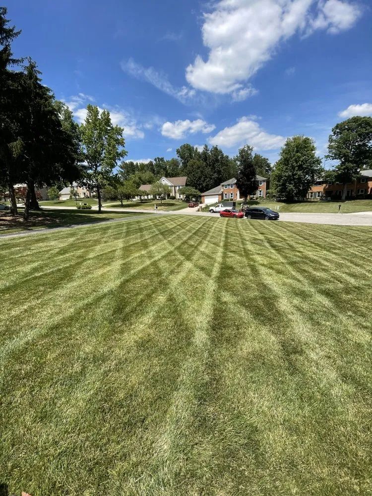Affordable landscape installation experts serving Cincinnati, OH - Midwest Mowing